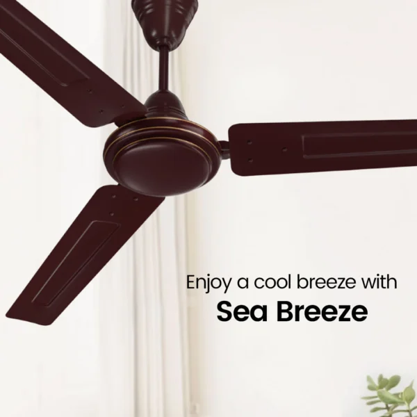 CROMPTON - Surebreeze Sea Breeze | Star Rated Ceiling Fan