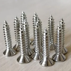 SS SCREWS (LAZER) SIZE - ( 19 ×6 )