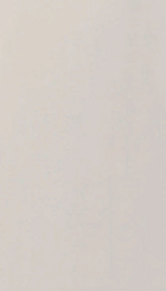 DAZZLE BERRY - MIRROR SURFACE -  MR - 2113 | BARLEY