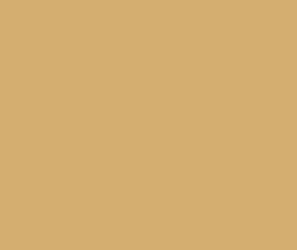 ASIAN - TRACTOR EMULSION - Coffee almond-n 9880