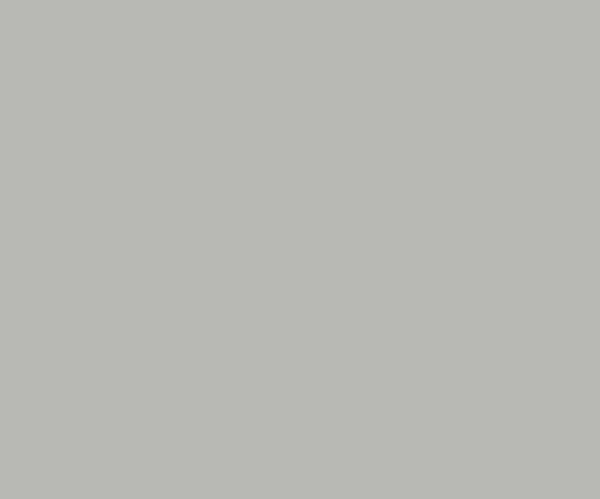 ASIAN - TRACTOR EMULSION - Silver grey 0615